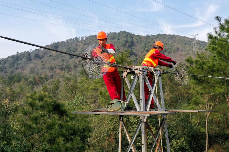 銅陵供電公司成功排除電力通信光纜鼠患